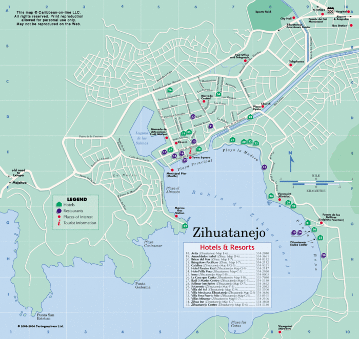 zihuatanejo-map.gif